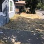 Photo of Bee There Junk Removal