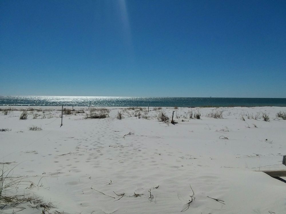 Pine Beach Trail Logo