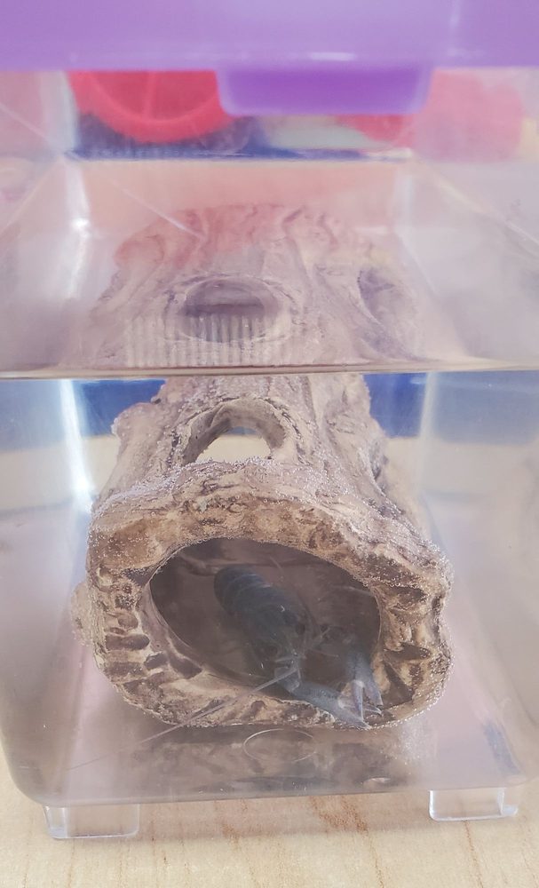 KING FISH AQUARIUM & PET SUPPLY Updated September 2024 17 Reviews