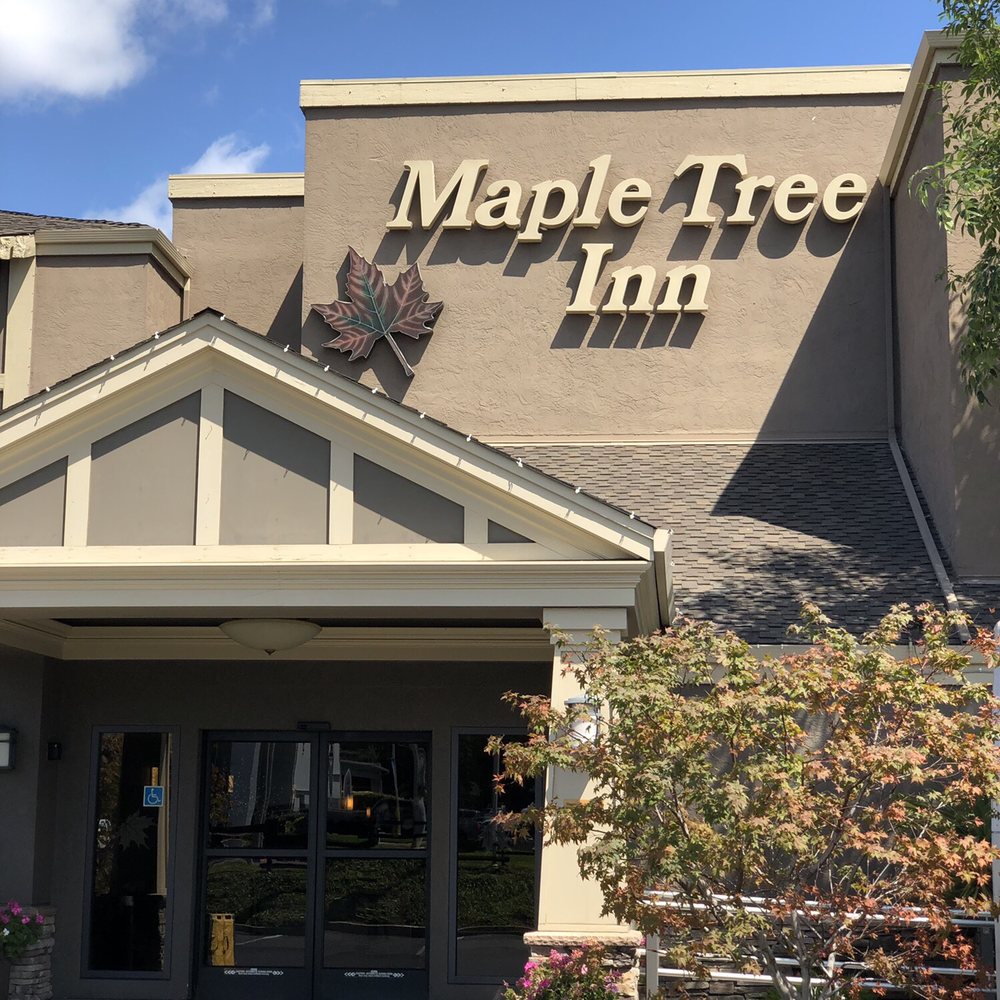 Maple Tree Inn - Hotels Near Me - Sunnyvale, California Maple Tree Inn - Hotels Near Me - Sunnyvale, California