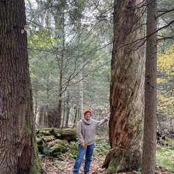 Cathedral State Park - Forrest