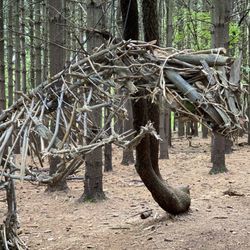 Allaire State Park
