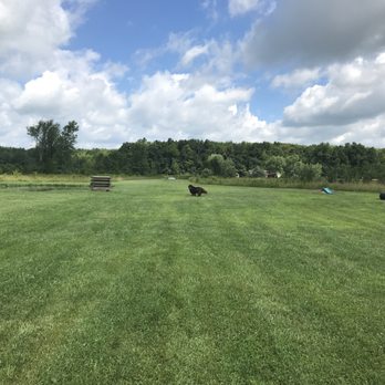 tom harvey memorial dog park