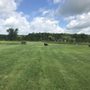 Photo of Tom Harvey Memorial Dog Park