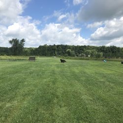 Tom Harvey Memorial Dog Park - Lots of open area for the kids to run!