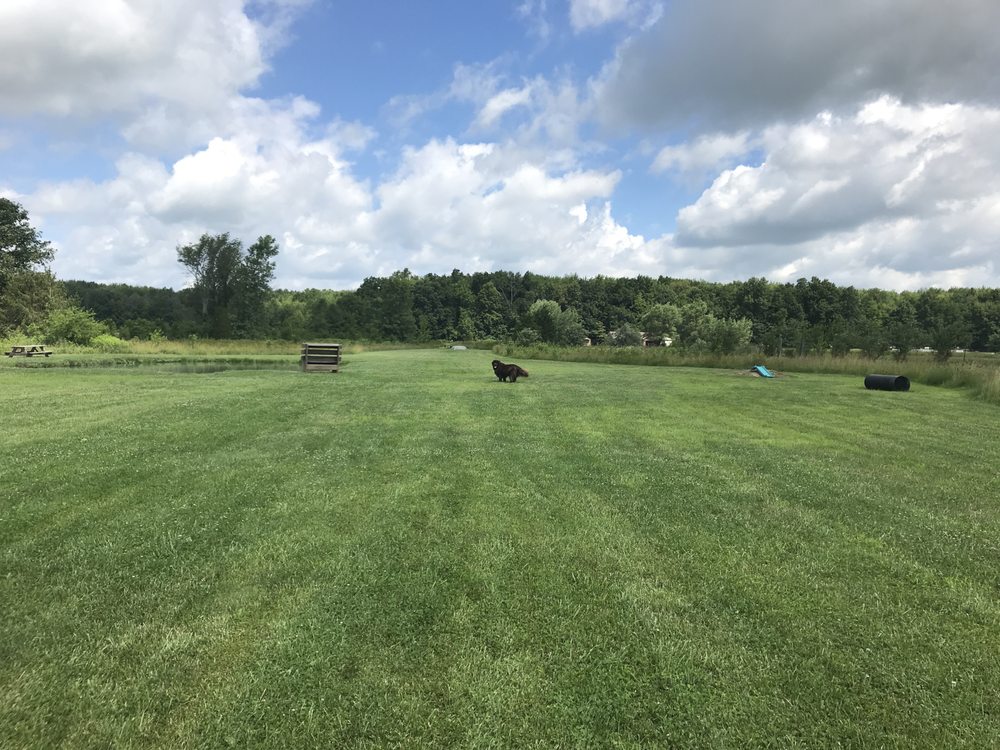 TOM HARVEY MEMORIAL DOG PARK Updated September 2024 14 Photos