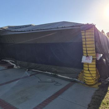 Premium Termite & Pest Control - Pest Control Near Me - Long Beach, California Premium Termite & Pest Control - Pest Control Near Me - Long Beach, California