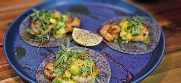 Octopus Baja by null