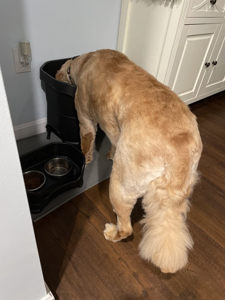 KOZY KENNELS 62 Photos & 30 Reviews 619 East St, Mansfield, Massachusetts Pet Groomers