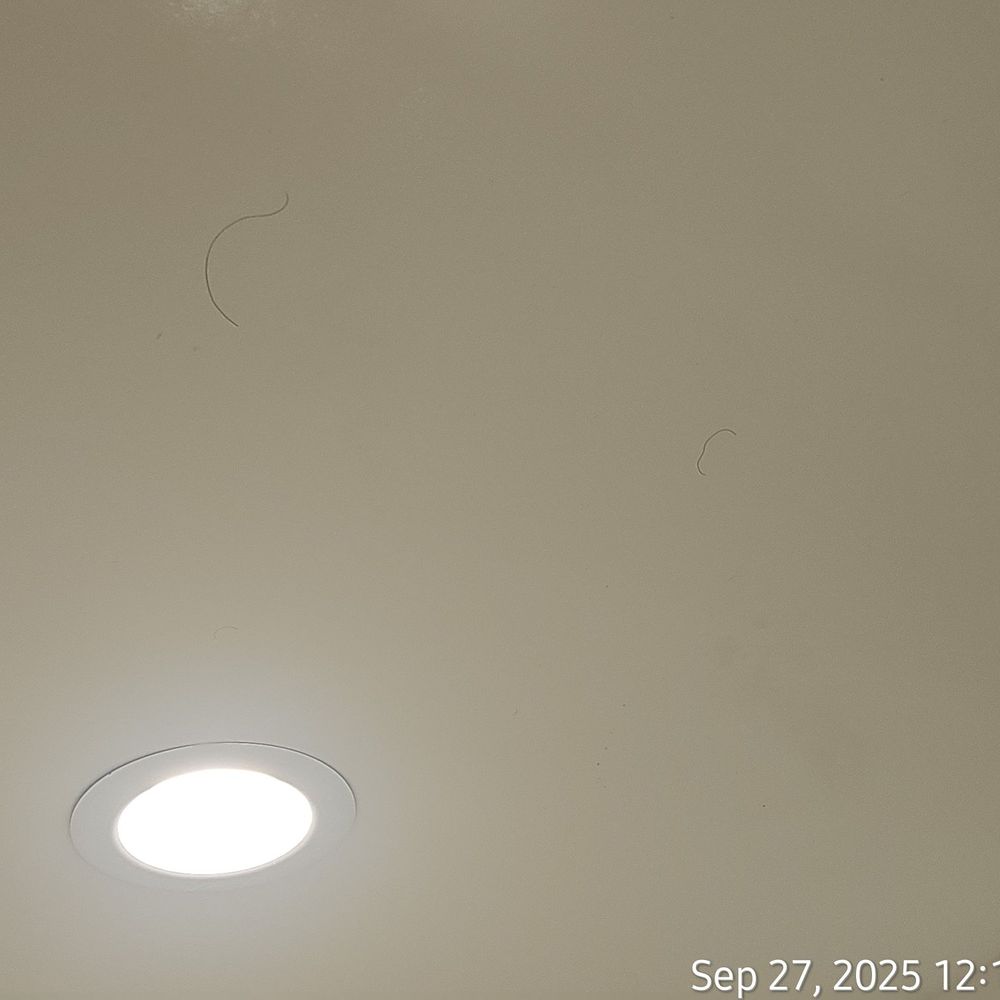 Home2 Suites by Hilton Turlock - Hair on the bathroom ceiling - Hotels Near Me - Turlock, California Home2 Suites by Hilton Turlock - Hair on the bathroom ceiling - Hotels Near Me - Turlock, California
