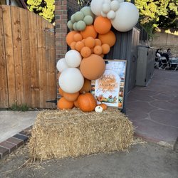 Pompa Party - Balloon arch