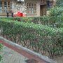 Photo of La Taberna del Sumiller