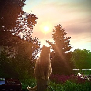 LEGACY RIDGE GOLF COURSE Updated August 2025 17 Photos 32 Reviews