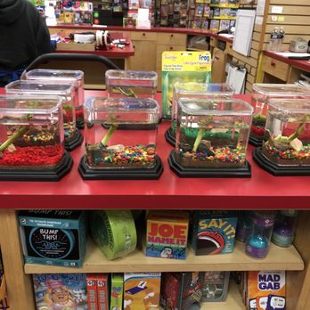 Toy Mania - Toy Stores Near Me - Charlotte, North Carolina Toy Mania - Toy Stores Near Me - Charlotte, North Carolina