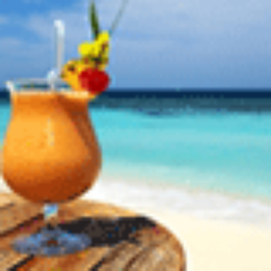 Cooperative Personal Travel Advisor