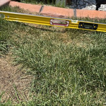 D&D Tree and Landscape - The grass is improperly graded leaving low spots. - Landscaping Near Me D&D Tree and Landscape - The grass is improperly graded leaving low spots. - Landscaping Near Me