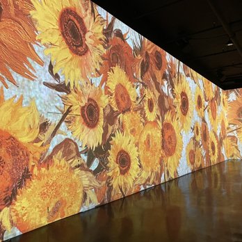 Immersive Van Gogh Exhibit - Art Museums Near Me - Los Angeles, California