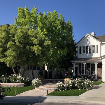 NoMow Turf - Front yard - Artificial Turf Near Me NoMow Turf - Front yard - Artificial Turf Near Me