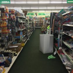 Dollar Tree - Dollar Tree Rochester -- 24 Lilac Mall, Rochester Interior