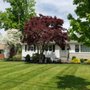 Manny's Gardening & Landscaping
