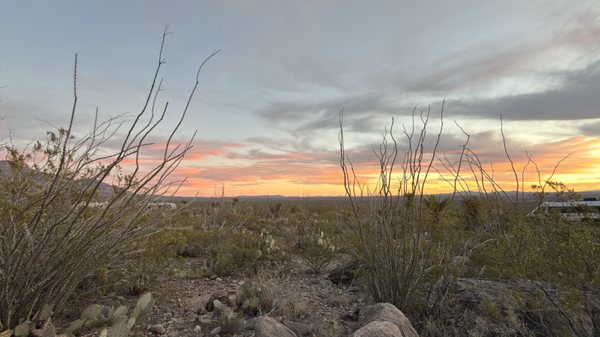 Oliver Lee Memorial State Park by null