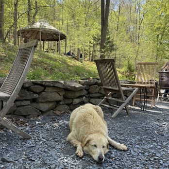 Gabriele Rausse Winery - Wineries Near Me - Charlottesville, Virginia Gabriele Rausse Winery - Wineries Near Me - Charlottesville, Virginia