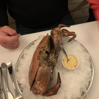 Café de l'Ouest - The AMAZING crab! We literally all said "WOW" when presented to our table. - Seafood Near Me - Saint-Malo, 35 Café de l'Ouest - The AMAZING crab! We literally all said "WOW" when presented to our table. - Seafood Near Me - Saint-Malo, 35