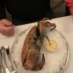 Café de l'Ouest - The AMAZING crab! We literally all said "WOW" when presented to our table.