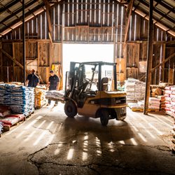 Olsen's Grain