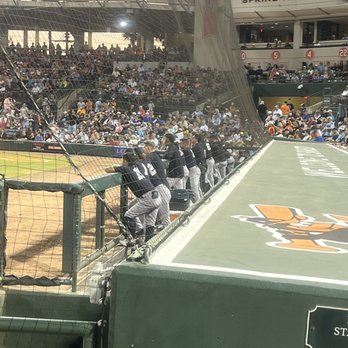 Ed Smith Stadium - Yankees dugout from our seats - Stadiums & Arenas Near Me - Sarasota, Florida Ed Smith Stadium - Yankees dugout from our seats - Stadiums & Arenas Near Me - Sarasota, Florida