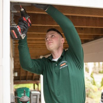 Campbell Natural Pest Control - Think exterminators need poison? Think again. We seal off rat entry points with steel mesh. - Pest Control Near Me - Portland, Oregon Campbell Natural Pest Control - Think exterminators need poison? Think again. We seal off rat entry points with steel mesh. - Pest Control Near Me - Portland, Oregon