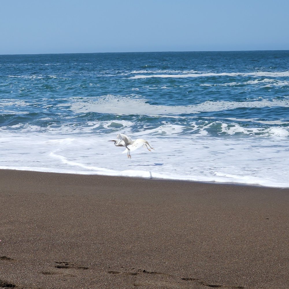 Tennessee Valley - Hiking Near Me - Mill Valley, California Tennessee Valley - Hiking Near Me - Mill Valley, California
