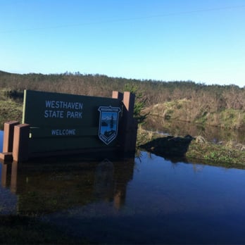 Westhaven State Park - Entrance sign - Parks Near Me - Westport, Washington Westhaven State Park - Entrance sign - Parks Near Me - Westport, Washington