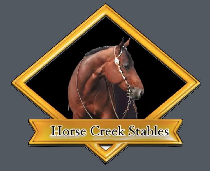 HORSECREEK STABLES Updated August 2024 50 Photos 411 Frazier Harris Rd NE, Ludowici