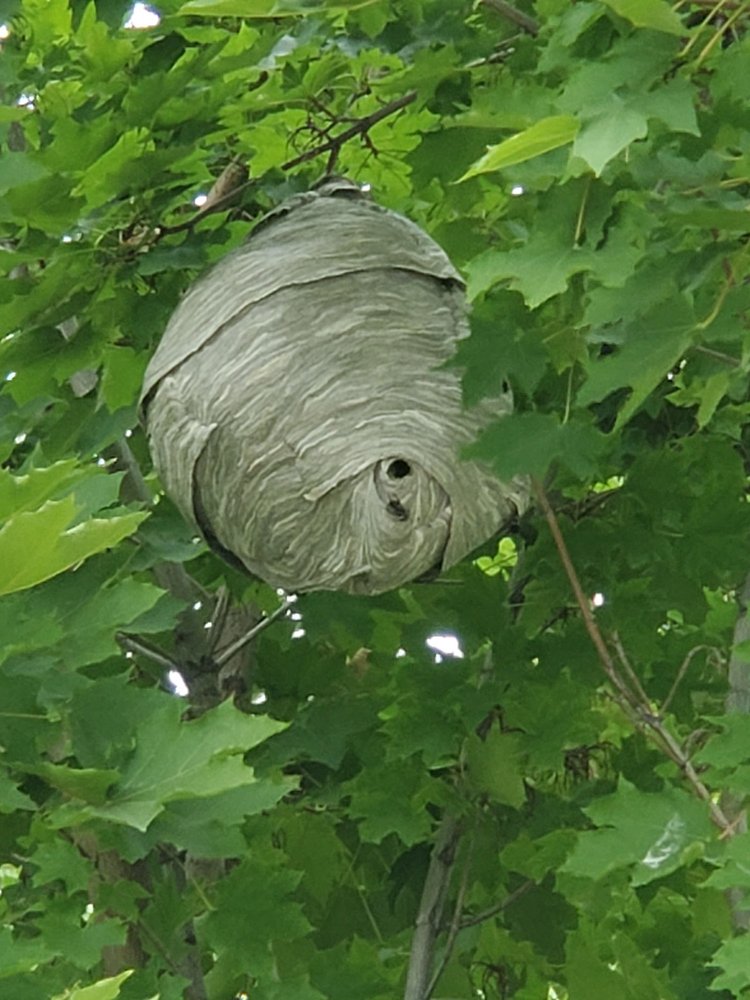 BULLSEYE PEST CONTROL 13 Photos 205 West Blvd, New Plymouth, ID Yelp