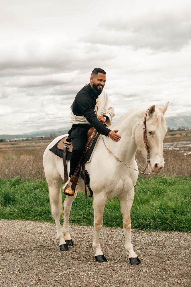 Prince Horse Rental - equestrian in San Jose, CA