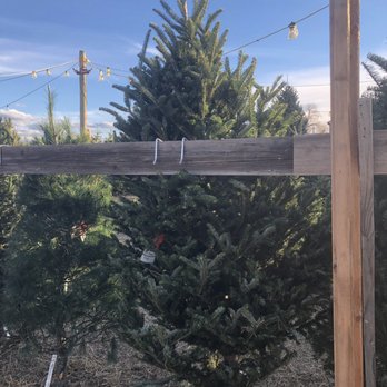 Creekside Tree Nursery - Nurseries & Gardening Near Me - Boulder, Colorado