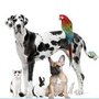Photo of Hooksett Veterinary Clinic