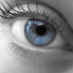 Colorado Eye Center - Parker