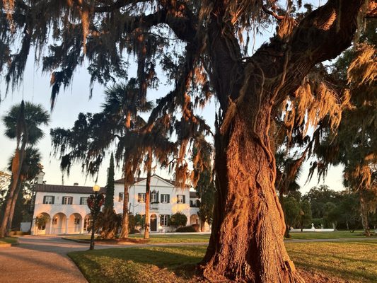 Jekyll Island by null
