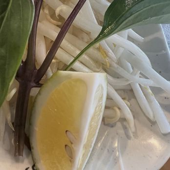 Pho Star - Make sure to wash your hand before the exaggerated lemon squeeze to ruin the dish like some on my social media feed - Vietnamese Near Me - San Francisco, California Pho Star - Make sure to wash your hand before the exaggerated lemon squeeze to ruin the dish like some on my social media feed - Vietnamese Near Me - San Francisco, California
