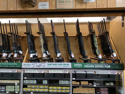 SPORTSMAN’S WAREHOUSE - Updated February 2026 - 71 Photos & 185 Reviews