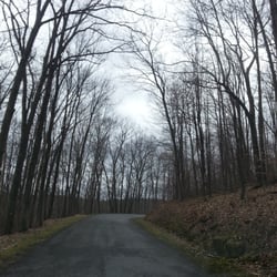 Pine Creek Gorge
