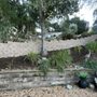 STG Landscape Management