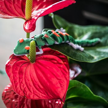 Prozix - 3Dprint-Friendly-Geeko-multi-color - 3D Printing Near Me - Long Beach, California