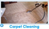 Zebra Carpet Cleaning