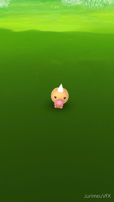 Jardim Botânico de Curitiba by null