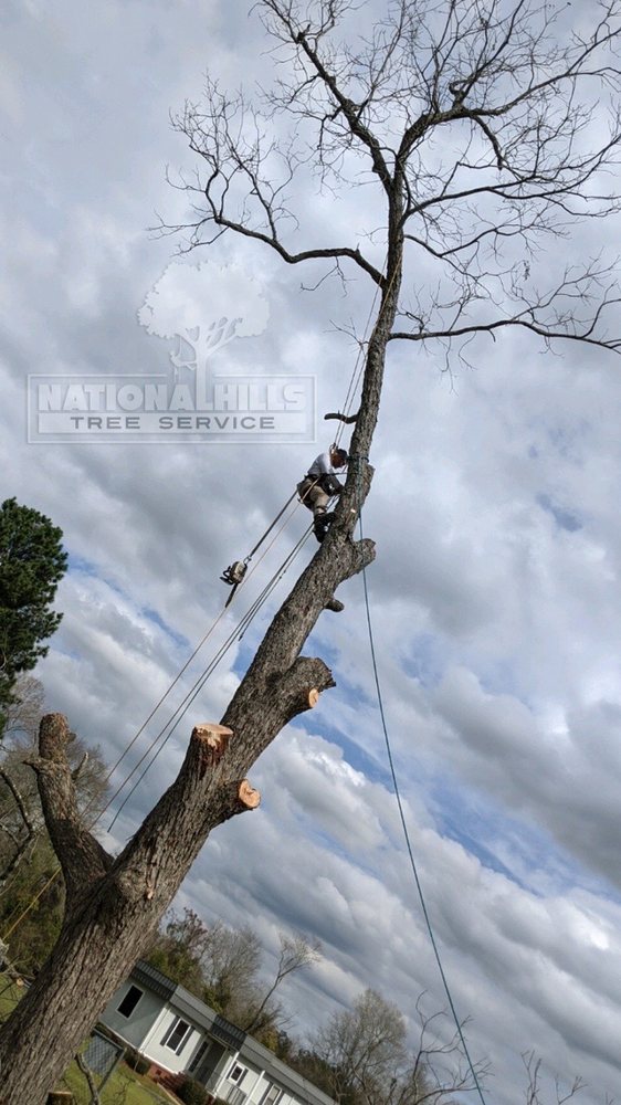 National Hills Tree Service - tree service in Augusta, GA