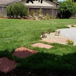 After. Our backyard is big. The picture does not show all the new plants and flowers they put in. I can't wait for these plants to grow. After. Our backyard is big. The picture does not show all the new plants and flowers they put in. I can't wait for these plants to grow.