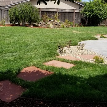 Jefferson Landscape & Design - After. Our backyard is big. The picture does not show all the new plants and flowers they put in. I can't wait for these plants to grow. - Landscaping Near Me Jefferson Landscape & Design - After. Our backyard is big. The picture does not show all the new plants and flowers they put in. I can't wait for these plants to grow. - Landscaping Near Me